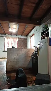 ChanneldelaCroix online show from 02-20-26, 07:25