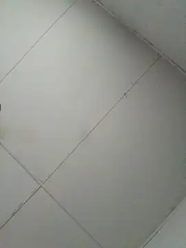 Snapshot of losangelesaid chatting on 12-04-25, 12:47 losangelesaid online show from 12-04-25, 12:47