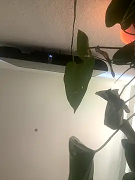 redheadangel 5 online show from 11-29-25, 10:35