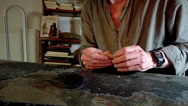 diogene11 online show from 11-29-25, 10:13