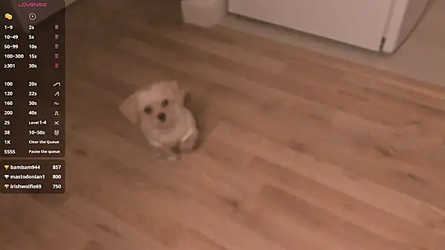 MePretty online show from 03-23-25, 12:58