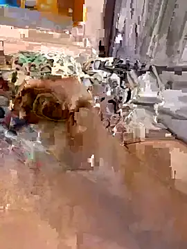 Snapshot of en93000 chatting on 04-07-26, 05:41 en93000 online show from 04-07-26, 05:41