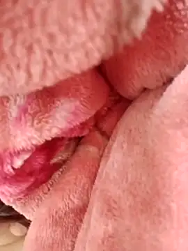 Snapshot of eujaamii chatting on 12-02-25, 02:56 eujaamii online show from 12-02-25, 02:56