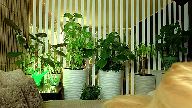 Snapshot of FlowweerGirl chatting on 12-15-25, 09:41 FlowweerGirl online show from 12-15-25, 09:41