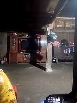 ava-dellght online show from 02-04-26, 02:28