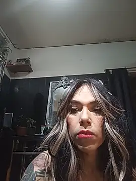 TransVenezuela1 online show from 06-04-26, 04:13