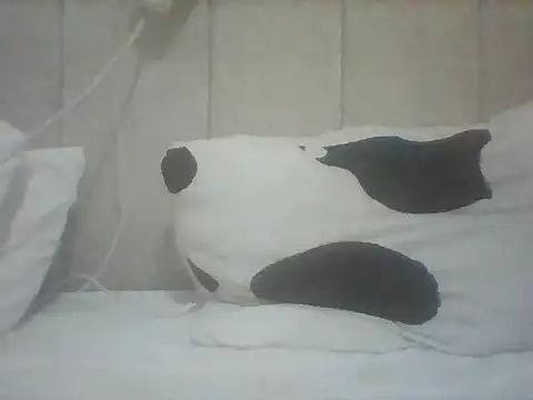 Snapshot of Thand03 chatting on 05-26-26, 03:57 Thand03 online show from 05-26-26, 03:57