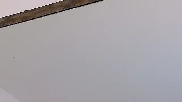 LucyHanks online show from 02-23-26, 03:42