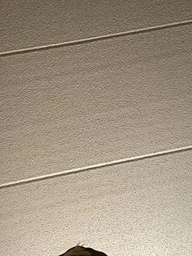 Big German cock974 online show from 02-16-26, 09:00