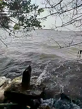 Andreskelly online show from 02-16-26, 01:51