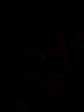 1Aya1Mustafa online show from 03-30-26, 02:07