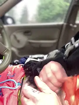 Ldnick69 online show from 03-24-26, 05:40