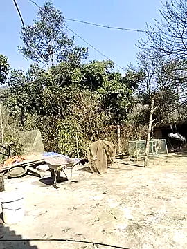 neko-nancy online show from 02-16-26, 07:04