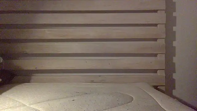 Snapshot of Palinchik chatting on 02-25-26, 02:43 Palinchik online show from 02-25-26, 02:43