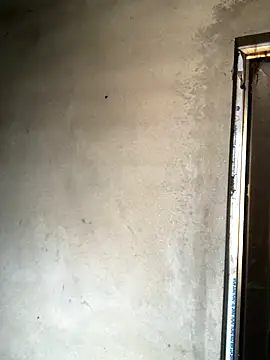 Pege-nii online show from 12-18-25, 05:35