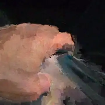 abmelken online show from 04-15-26, 11:17