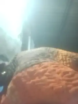 Pinki rajak online show from 01-11-26, 07:08