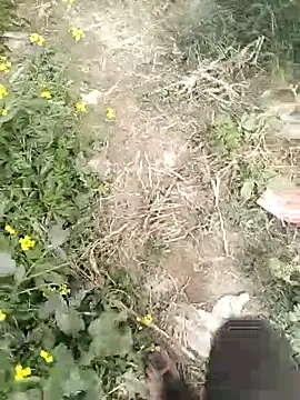 mohit08desi online show from 01-19-26, 09:24