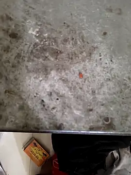 Niteenku online show from 03-28-26, 11:10