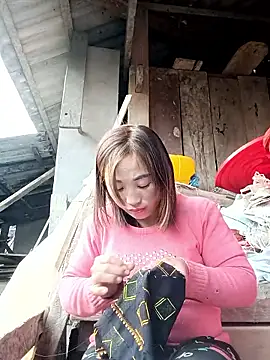 seacyre online show from 01-12-26, 08:41