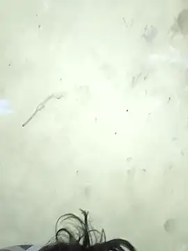 vishalk12346 online show from 01-08-26, 05:48