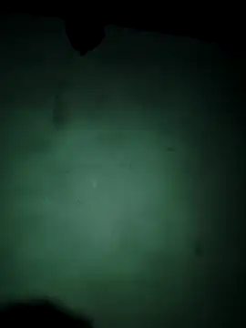 vishalk12346 online show from 01-13-26, 06:02