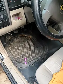 PIGHIGHDIRTY p0 online show from 02-20-26, 09:04