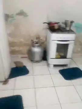 xxxxbucetuda  online show from 12-20-25, 10:44