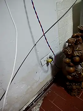 thobaby99 online show from 01-09-26, 07:55