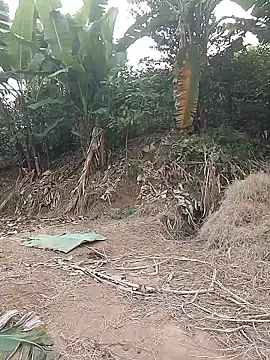 Menlike69 online show from 01-11-26, 02:27