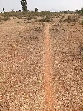 Tamilpaiyan07 online show from 02-09-26, 07:01