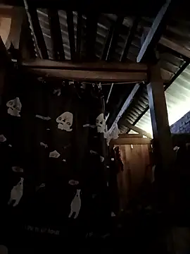 Money moneylove online show from 12-23-25, 03:37