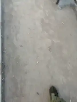 Tata and Joker online show from 03-24-26, 03:28