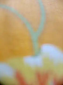 Snapshot of Hooghlypinkivabi chatting on 02-20-26, 02:28 Hooghlypinkivabi online show from 02-20-26, 02:28