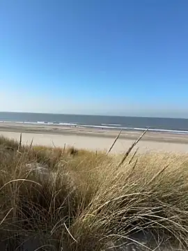 friemeldepiemel online show from 03-05-26, 01:18