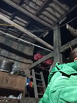 dakota-kis online show from 02-01-26, 11:53