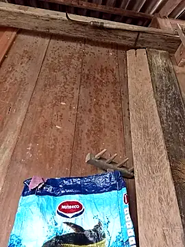 dakota-kis online show from 04-06-26, 05:08