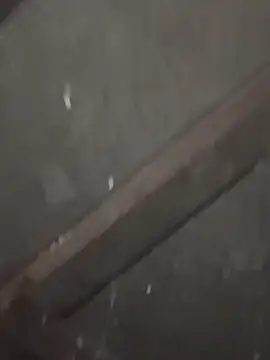 daksh  8 inche online show from 02-04-26, 10:04