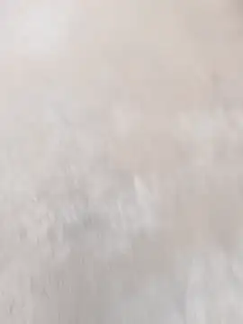 daksh  8 inche online show from 04-07-26, 01:50