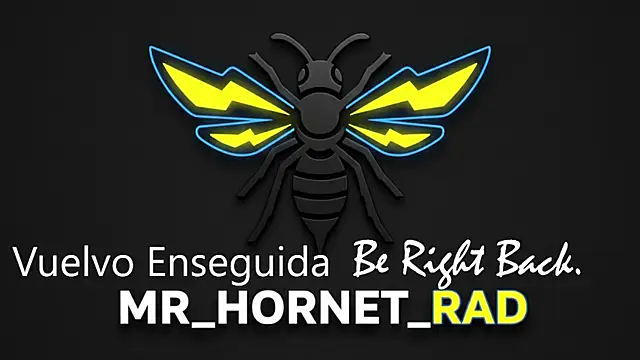 Snapshot of s_hornet chatting on 05-04-26, 01:18 s hornet online show from 05-04-26, 01:18
