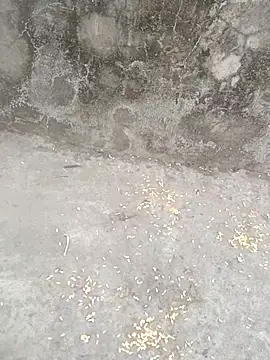 sexyboy 917 online show from 03-05-26, 12:45