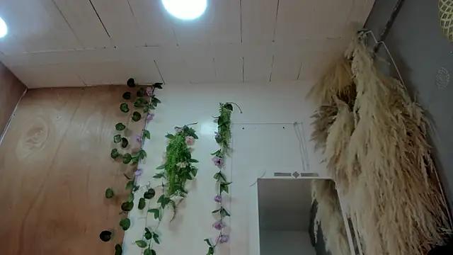 Alice randyy online show from 02-10-26, 01:04