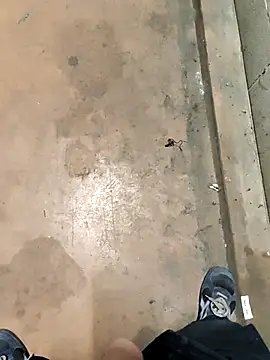 Snapshot of TAMI61 chatting on 02-04-26, 07:53 TAMI61 online show from 02-04-26, 07:53