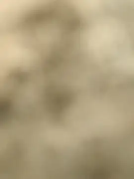 Pagelboy 089 online show from 02-15-26, 09:30