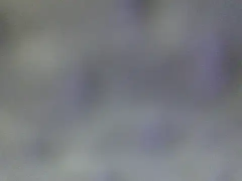 Minico25 online show from 03-29-26, 02:44