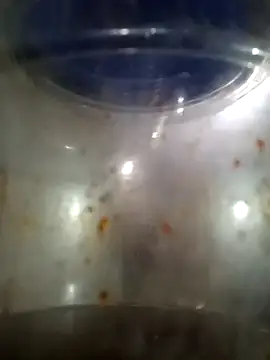 him220 online show from 03-12-26, 02:07