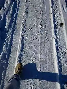 Erz84 online show from 02-19-25, 12:25