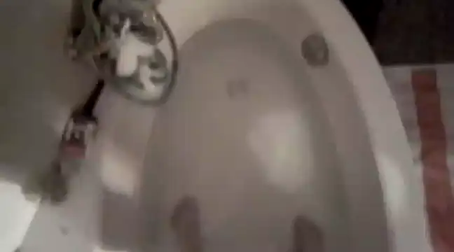 Erz84 online show from 03-05-25, 11:05