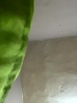 kwandero1234 online show from 01-12-26, 07:41