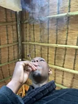 kwandero1234 online show from 01-14-26, 04:07